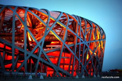 Red Bird Nest