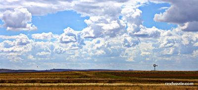 Free State Flats