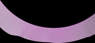 3D model front view of the ring's smooth inner surface, with the elevation profile of the walk's one big hill shaping the outer edge