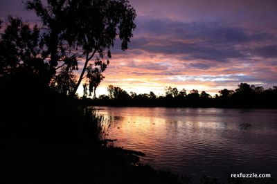 Purple Sunset